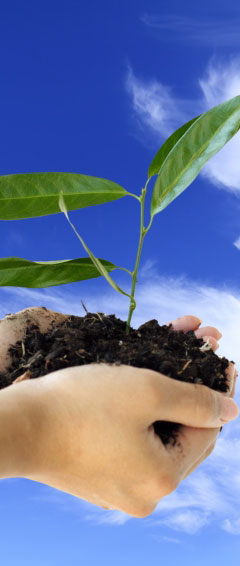 Environment
                Klevek